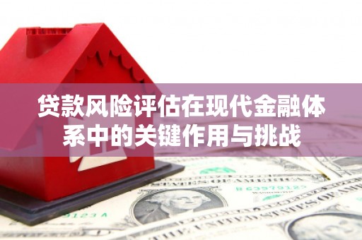 东平贷款风险评估在现代金融体系中的关键作用与挑战