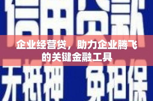 东平企业经营贷，助力企业腾飞的关键金融工具