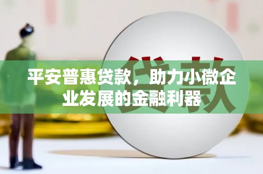 东平平安普惠贷款，助力小微企业发展的金融利器