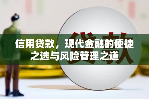 东平信用贷款，现代金融的便捷之选与风险管理之道
