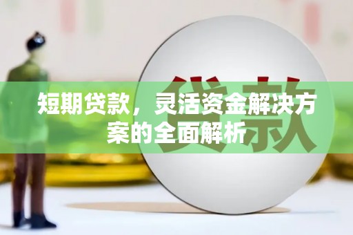 东平短期贷款，灵活资金解决方案的全面解析