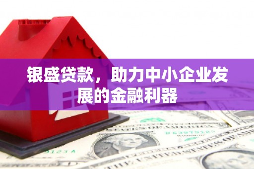 东平银盛贷款，助力中小企业发展的金融利器