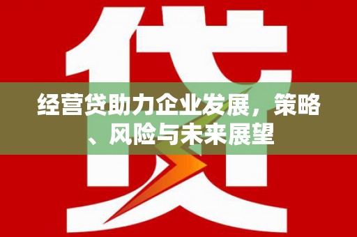 东平经营贷助力企业发展，策略、风险与未来展望