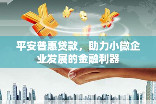 东平平安普惠贷款，助力小微企业发展的金融利器