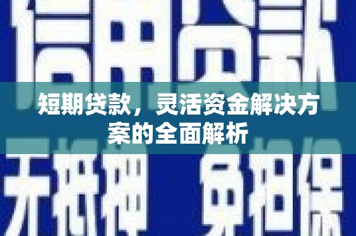 东平短期贷款，灵活资金解决方案的全面解析