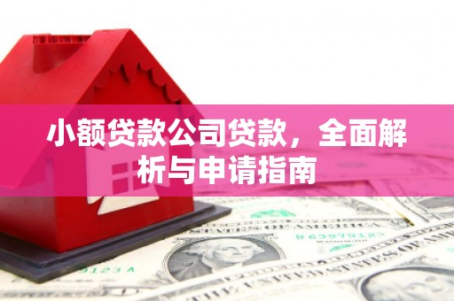 东平小额贷款公司贷款，全面解析与申请指南