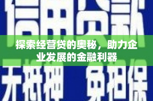 东平探索经营贷的奥秘，助力企业发展的金融利器