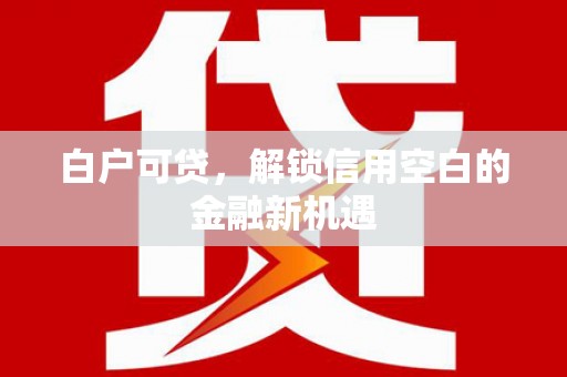 东平白户可贷，解锁信用空白的金融新机遇