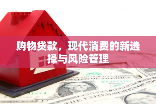 东平购物贷款，现代消费的新选择与风险管理