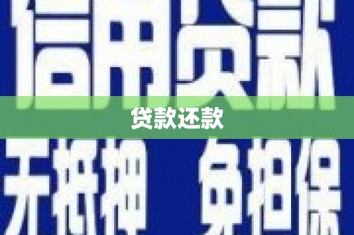 东平贷款还款