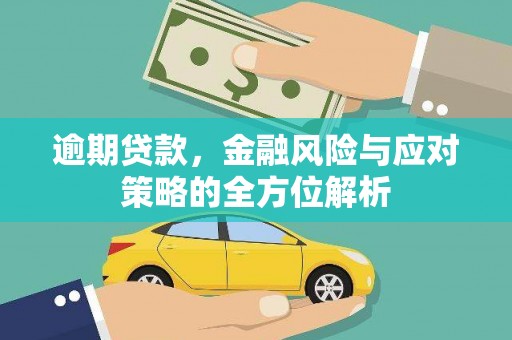 东平逾期贷款，金融风险与应对策略的全方位解析