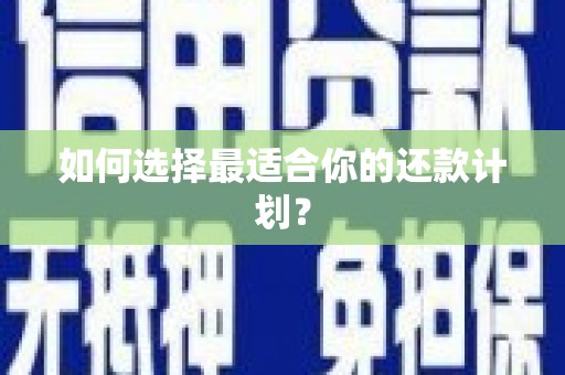东平如何选择最适合你的还款计划？