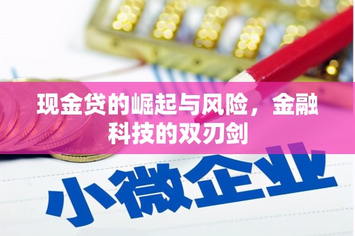 东平现金贷的崛起与风险，金融科技的双刃剑