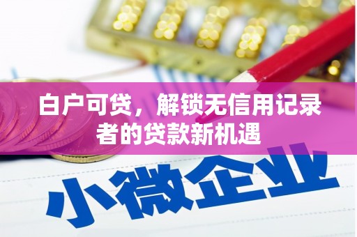 东平白户可贷，解锁无信用记录者的贷款新机遇