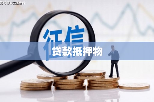 东平贷款抵押物