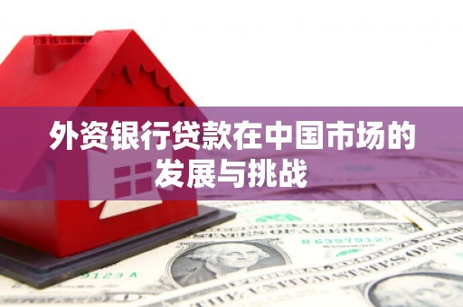东平外资银行贷款在中国市场的发展与挑战