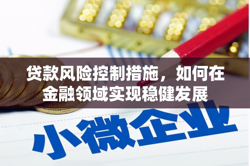 东平贷款风险控制措施，如何在金融领域实现稳健发展