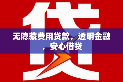 东平无隐藏费用贷款，透明金融，安心借贷