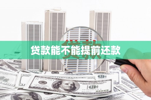东平贷款能不能提前还款