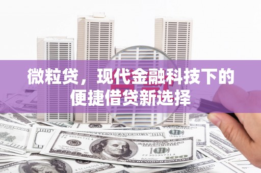 东平微粒贷，现代金融科技下的便捷借贷新选择