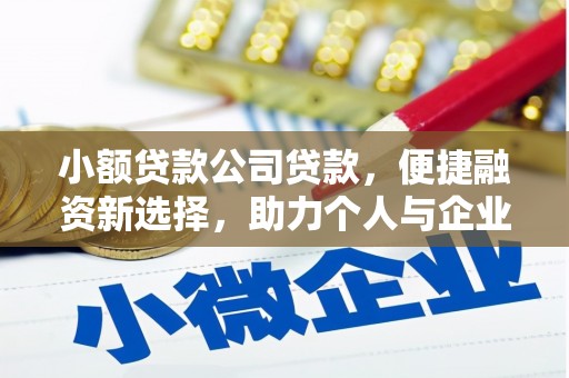 东平小额贷款公司贷款，便捷融资新选择，助力个人与企业成长