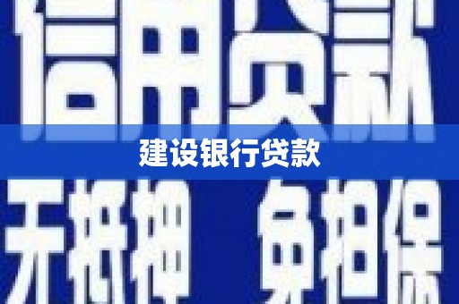 东平建设银行贷款