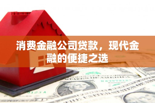 东平消费金融公司贷款，现代金融的便捷之选