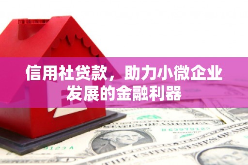 东平信用社贷款，助力小微企业发展的金融利器