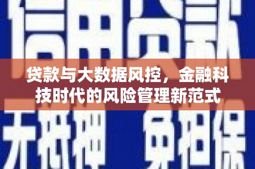 东平贷款与大数据风控，金融科技时代的风险管理新范式