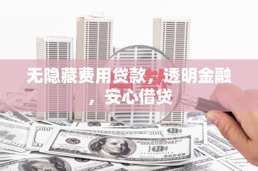 东平无隐藏费用贷款，透明金融，安心借贷