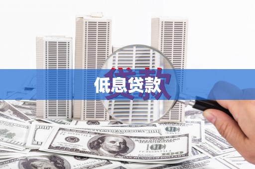 东平低息贷款