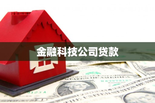东平金融科技公司贷款