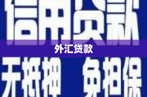 东平外汇贷款