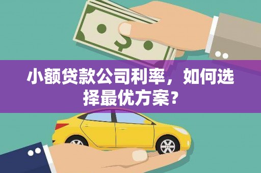 东平小额贷款公司利率，如何选择最优方案？