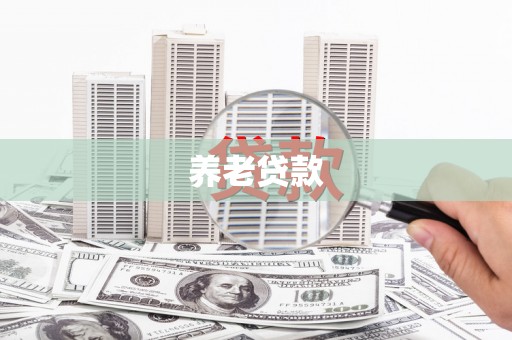 东平养老贷款