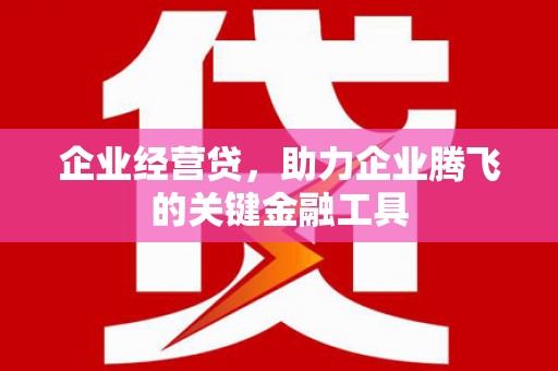 东平企业经营贷，助力企业腾飞的关键金融工具
