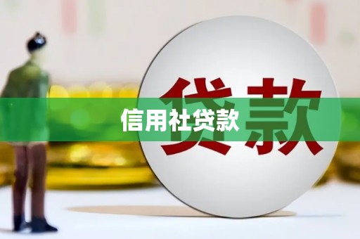 东平信用社贷款