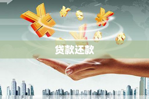 东平贷款还款