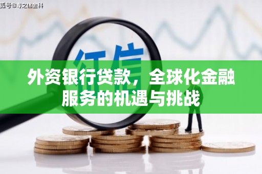 东平外资银行贷款，全球化金融服务的机遇与挑战