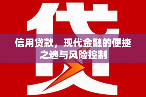 东平信用贷款，现代金融的便捷之选与风险控制