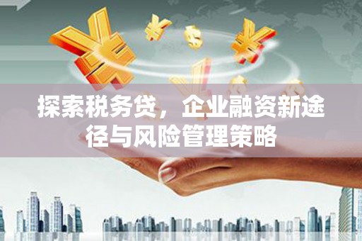 东平探索税务贷，企业融资新途径与风险管理策略
