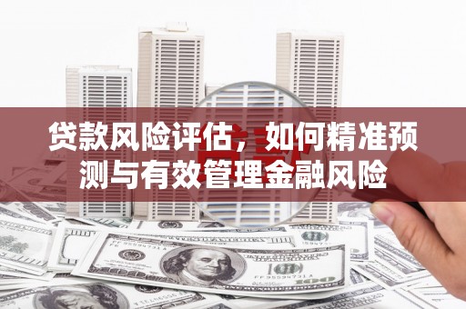 东平贷款风险评估，如何精准预测与有效管理金融风险