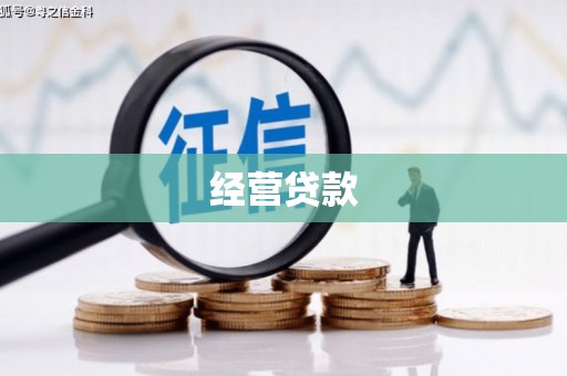 东平经营贷款