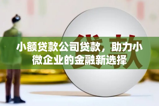 东平小额贷款公司贷款，助力小微企业的金融新选择