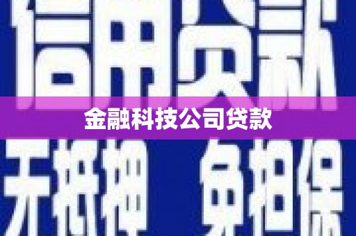 东平金融科技公司贷款