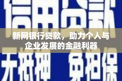 东平新网银行贷款，助力个人与企业发展的金融利器