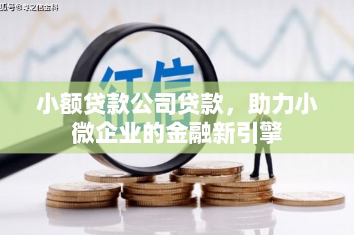 东平小额贷款公司贷款，助力小微企业的金融新引擎
