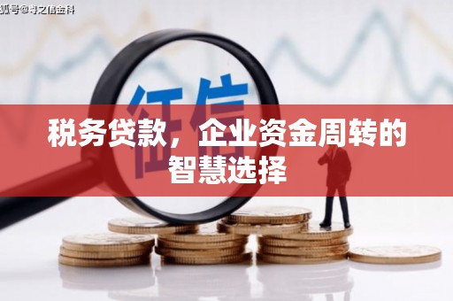 东平税务贷款，企业资金周转的智慧选择