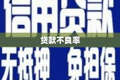 东平贷款不良率