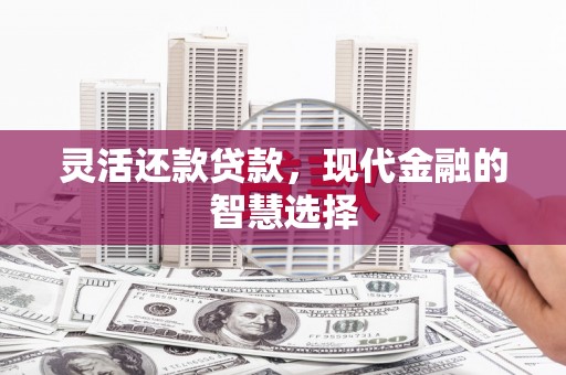 东平灵活还款贷款，现代金融的智慧选择